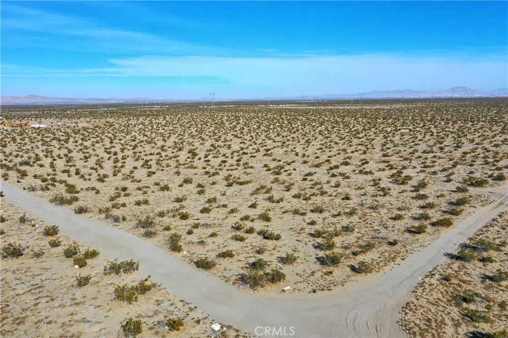 Holly Road Pinon Hills, CA 92371