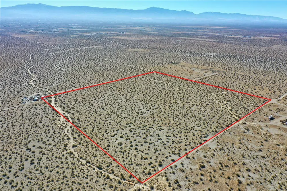 Holly Road Pinon Hills, CA 92371