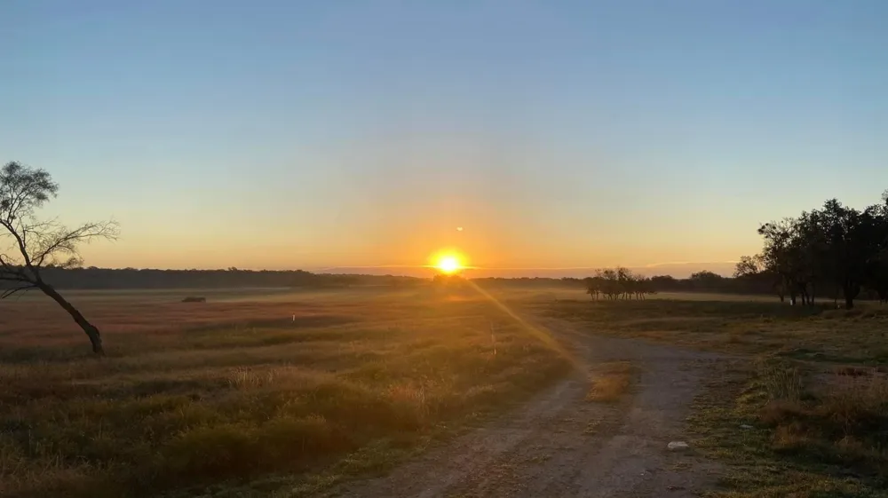 1915 Buffalo Creek Drive Evant, TX 76525