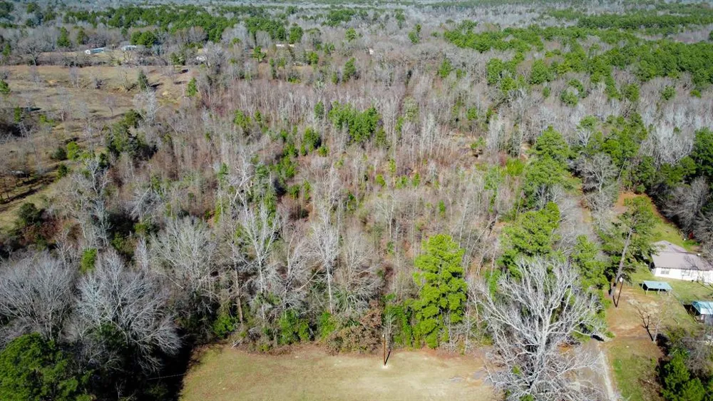 5 CR 3308 Jacksonville, TX 75766