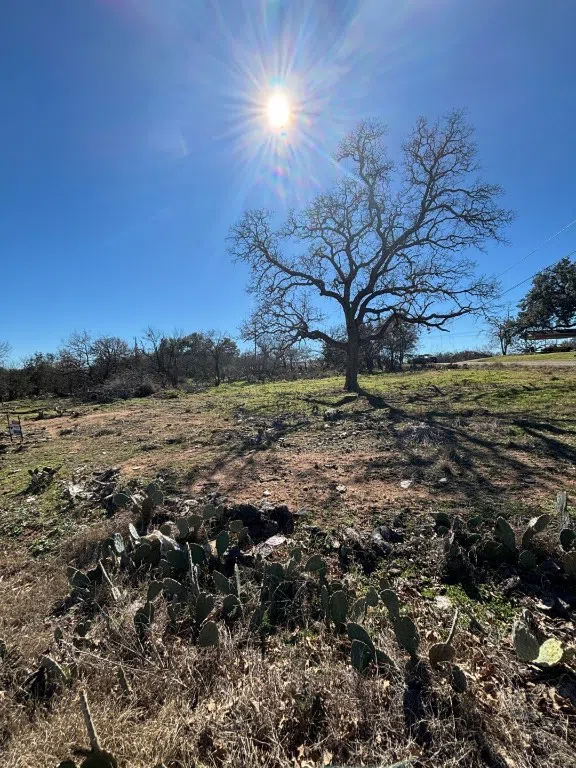 Rosehill Drive Granite Shoals, TX 78654