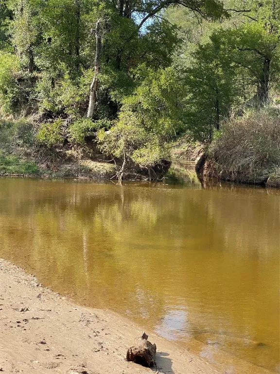 1975 Buffalo Creek Drive Evant, TX 76525