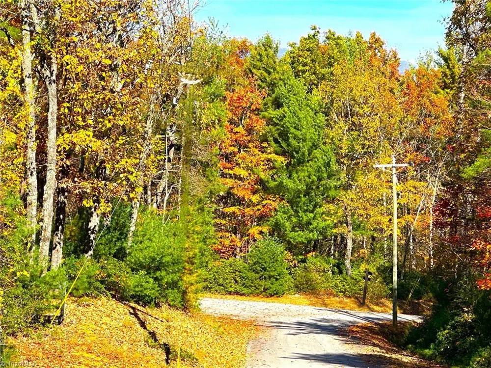 Lot 41 Sutters Ridge Road McGrady, NC 28649