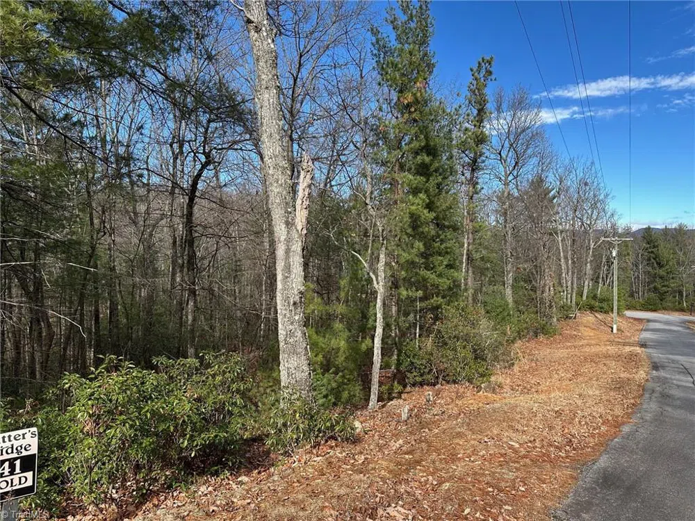 Lot 41 Sutters Ridge Road McGrady, NC 28649
