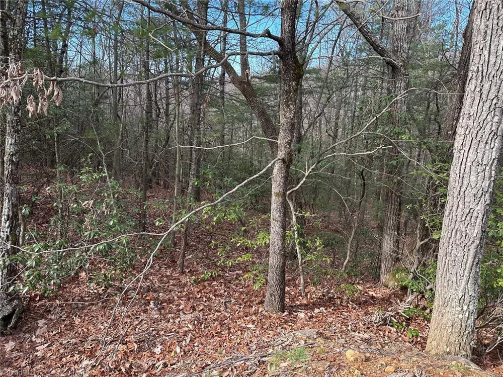Lot 41 Sutters Ridge Road McGrady, NC 28649