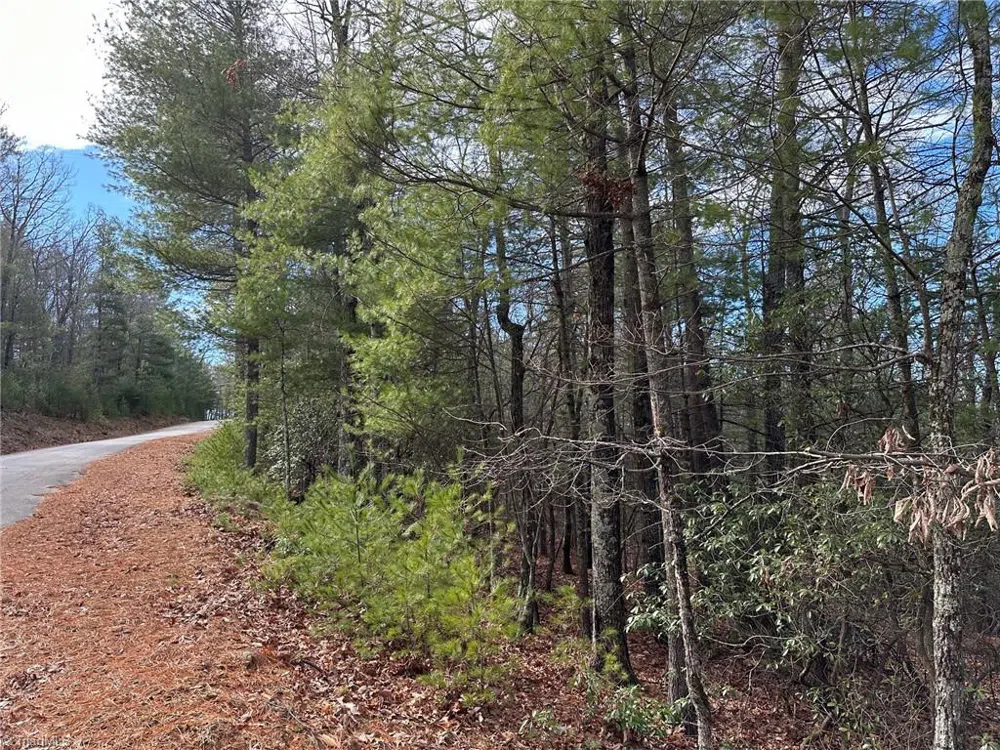 Lot 41 Sutters Ridge Road McGrady, NC 28649