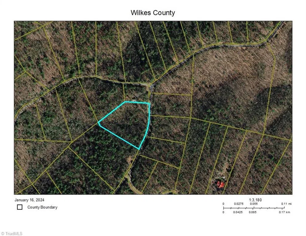 Lot 41 Sutters Ridge Road McGrady, NC 28649