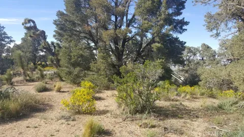 Scenic Creek Drive