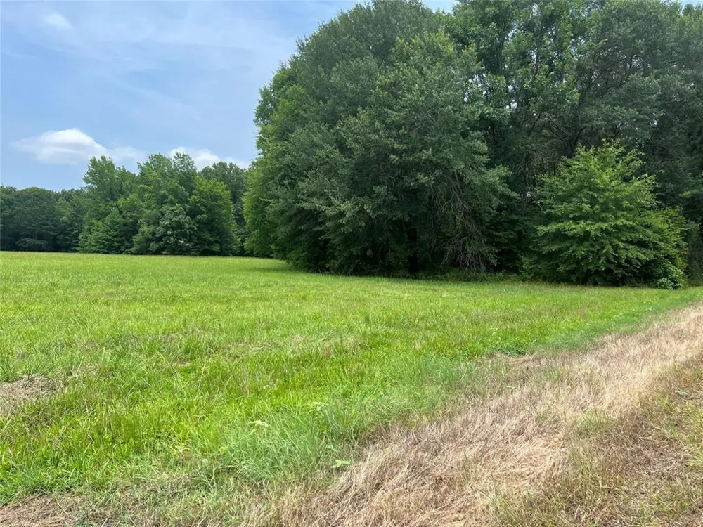 CR 4130 Mount Vernon, TX 75457