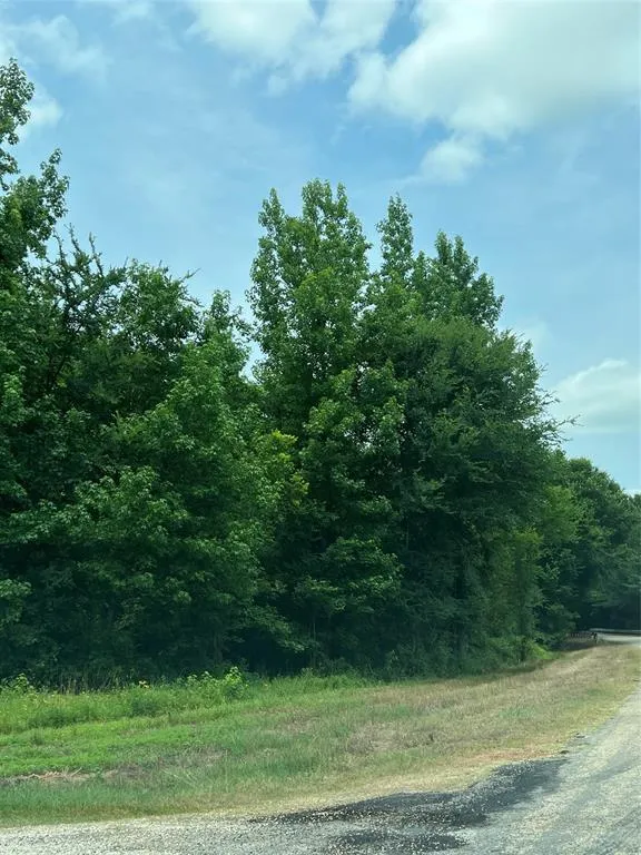 CR 4130 Mount Vernon, TX 75457