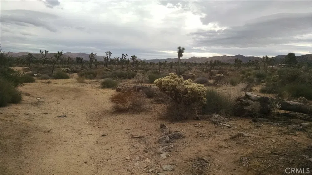 Church Yucca Valley, CA 92284