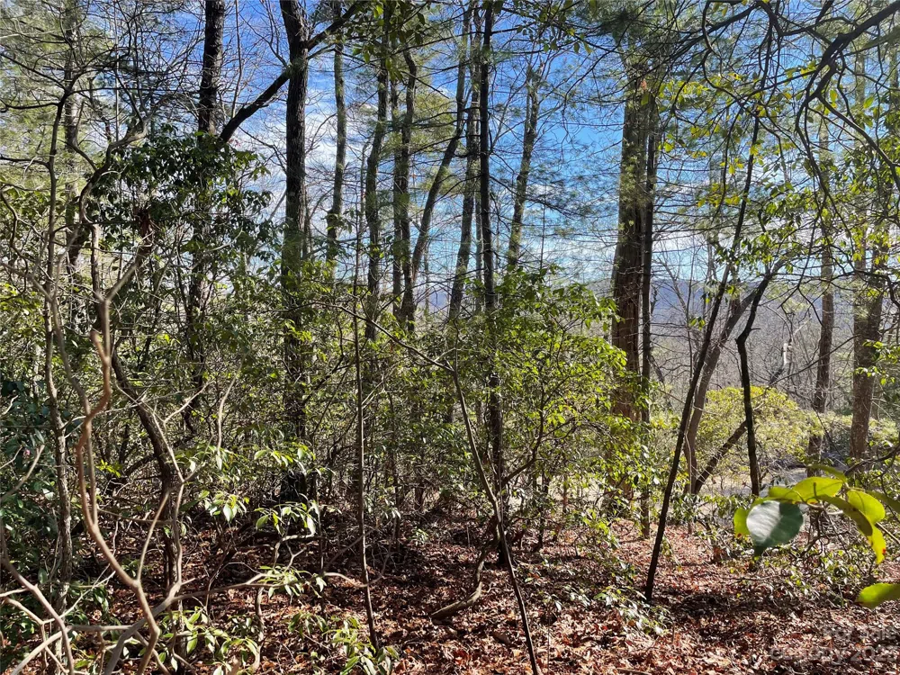 00 Willow Run Lane #16 Zirconia, NC 28790