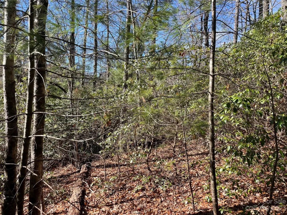 00 Willow Run Lane #16 Zirconia, NC 28790