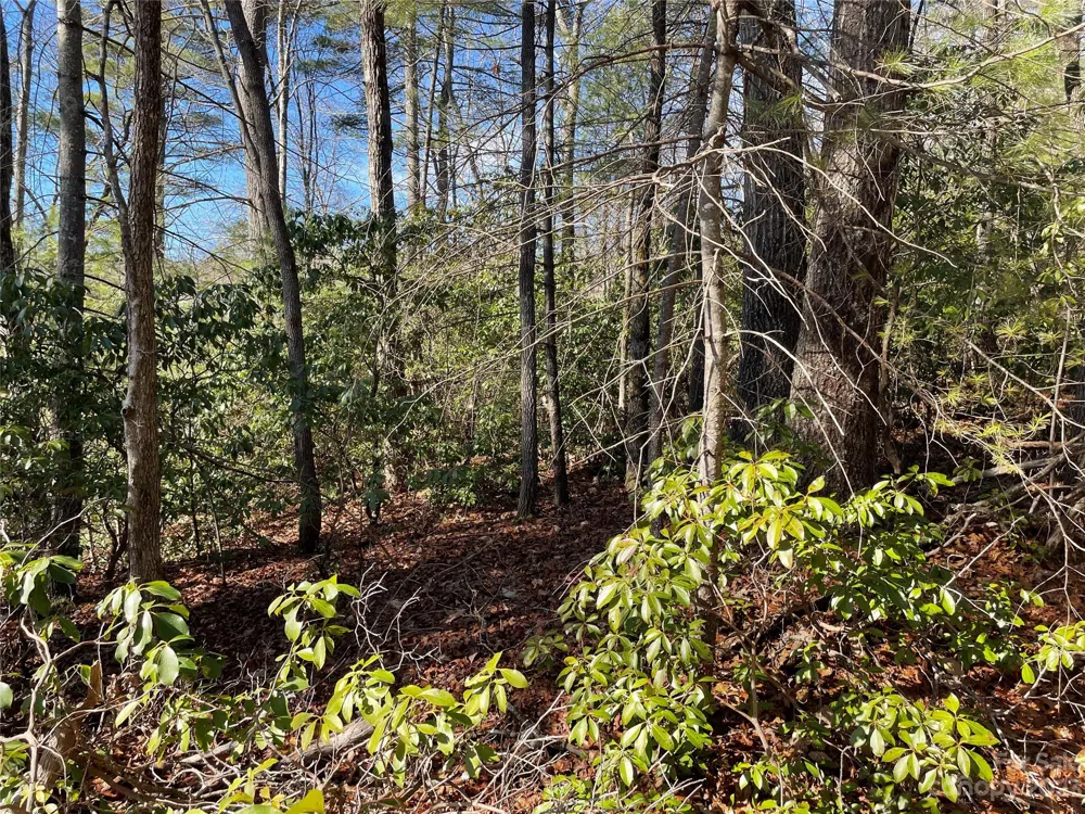 00 Willow Run Lane #16 Zirconia, NC 28790