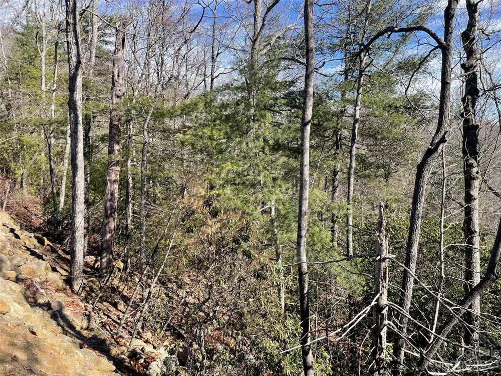 00 Willow Run Lane #15 Zirconia, NC 28790