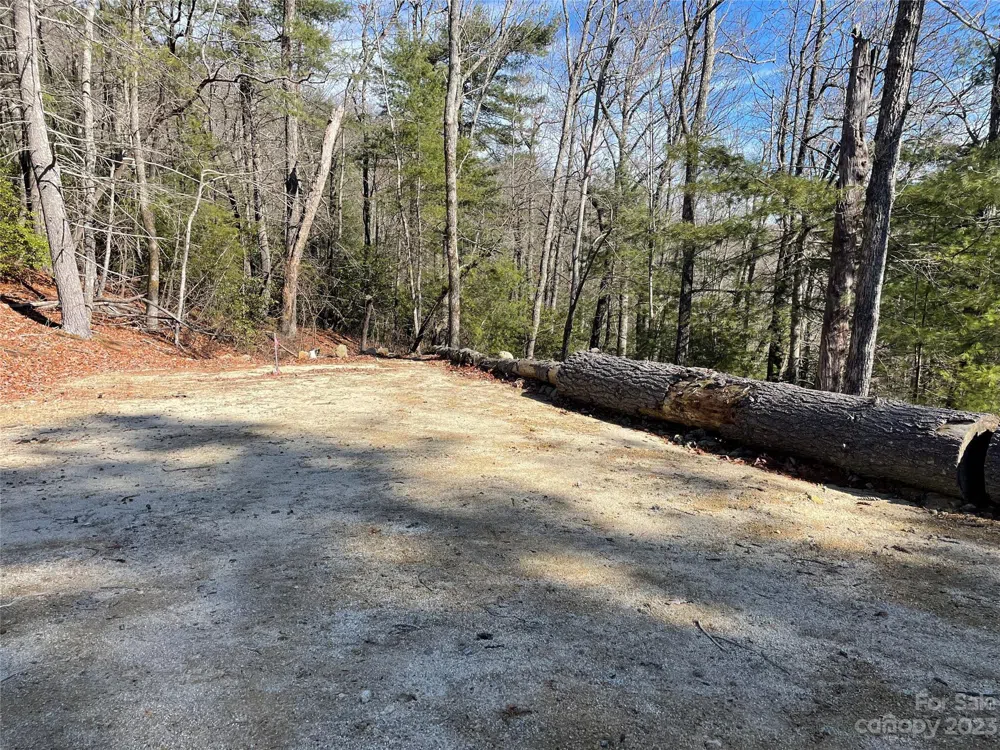 00 Willow Run Lane #15 Zirconia, NC 28790