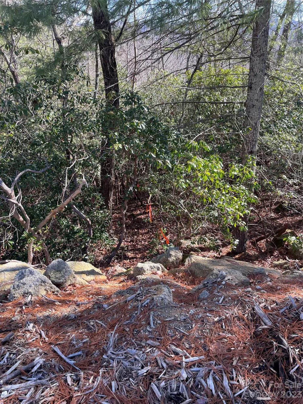 00 Willow Run Lane #15 Zirconia, NC 28790