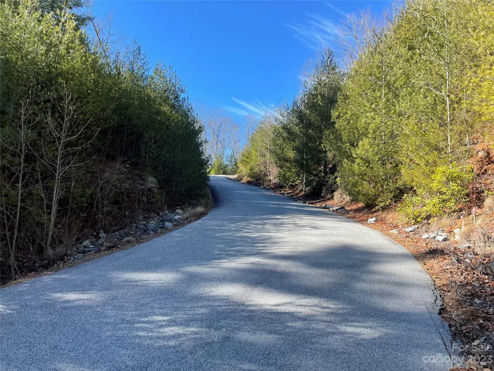 00 Willow Run Lane #15 Zirconia, NC 28790
