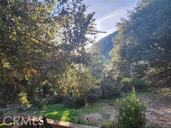 3 Glacier Mt Baldy, CA 91759