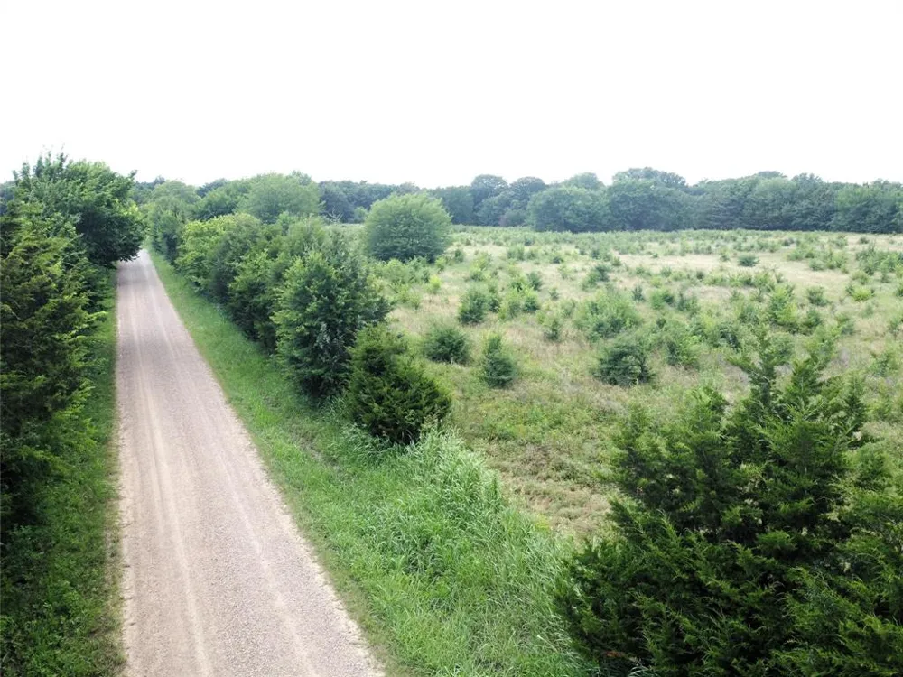 CR 1400 Ravenna, TX 75476