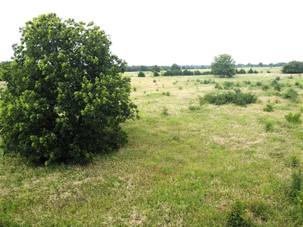 CR 1400 Ravenna, TX 75476