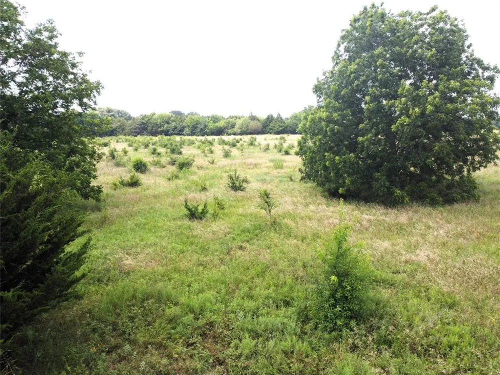 CR 1400 Ravenna, TX 75476