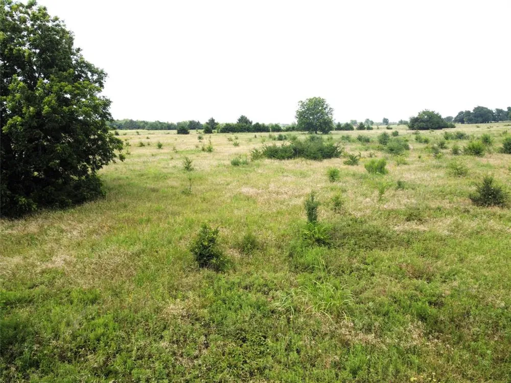 CR 1400 Ravenna, TX 75476
