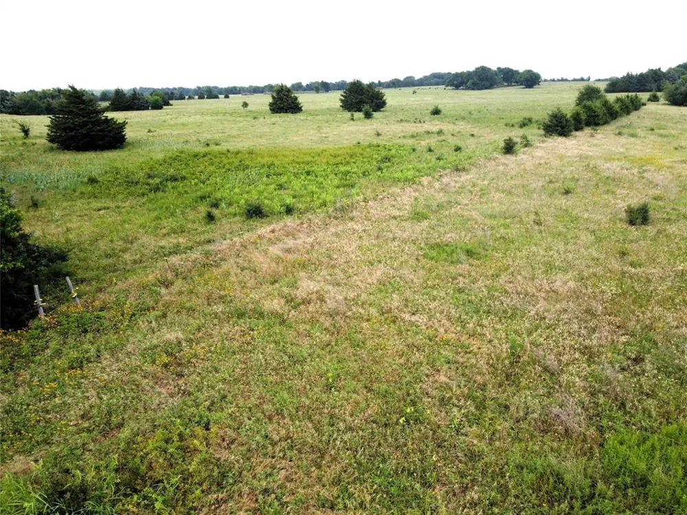 CR 1400 Ravenna, TX 75476