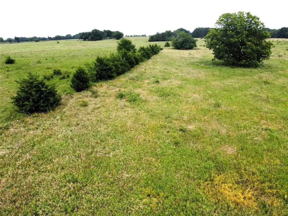 CR 1400 Ravenna, TX 75476