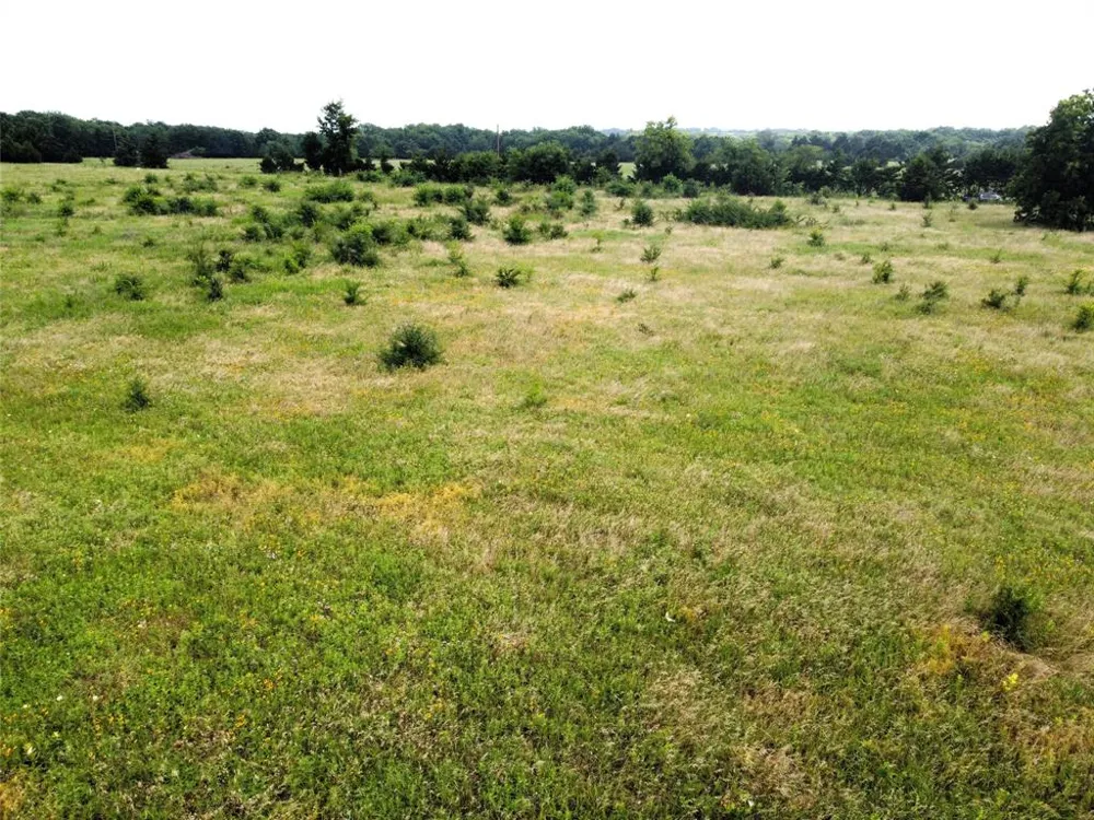 CR 1400 Ravenna, TX 75476