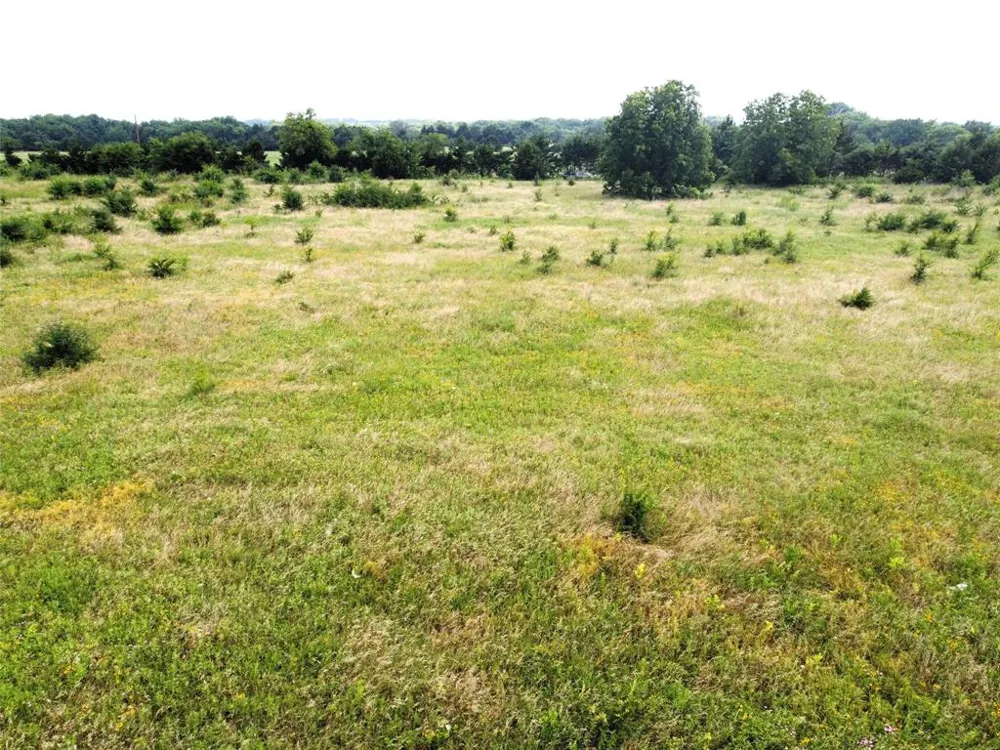 CR 1400 Ravenna, TX 75476