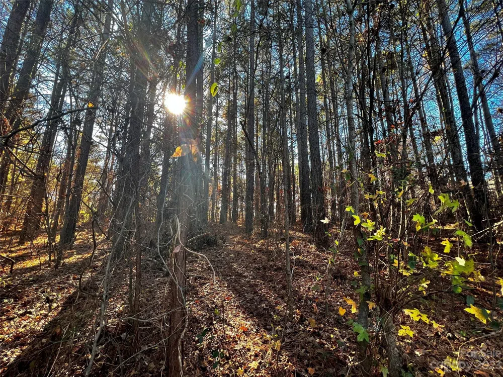 129 Sleepy Cove Trail #5 Mooresville, NC 28117