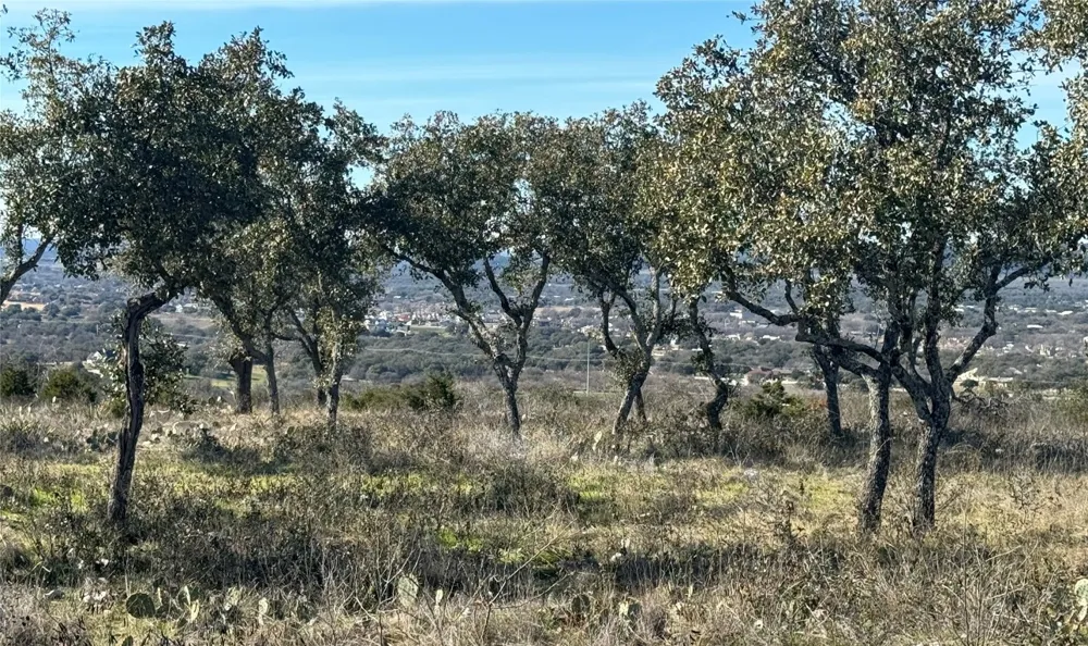 57 Big Creek Drive Kingsland, TX 78639
