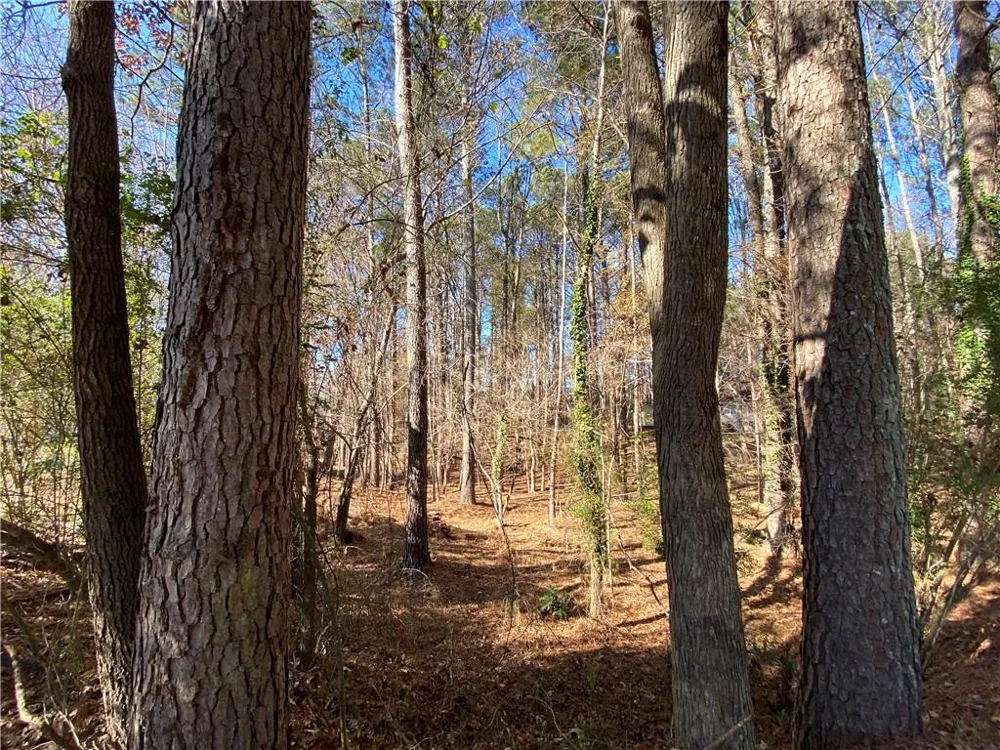 0 Black Oak Trail Woodstock, GA 30189