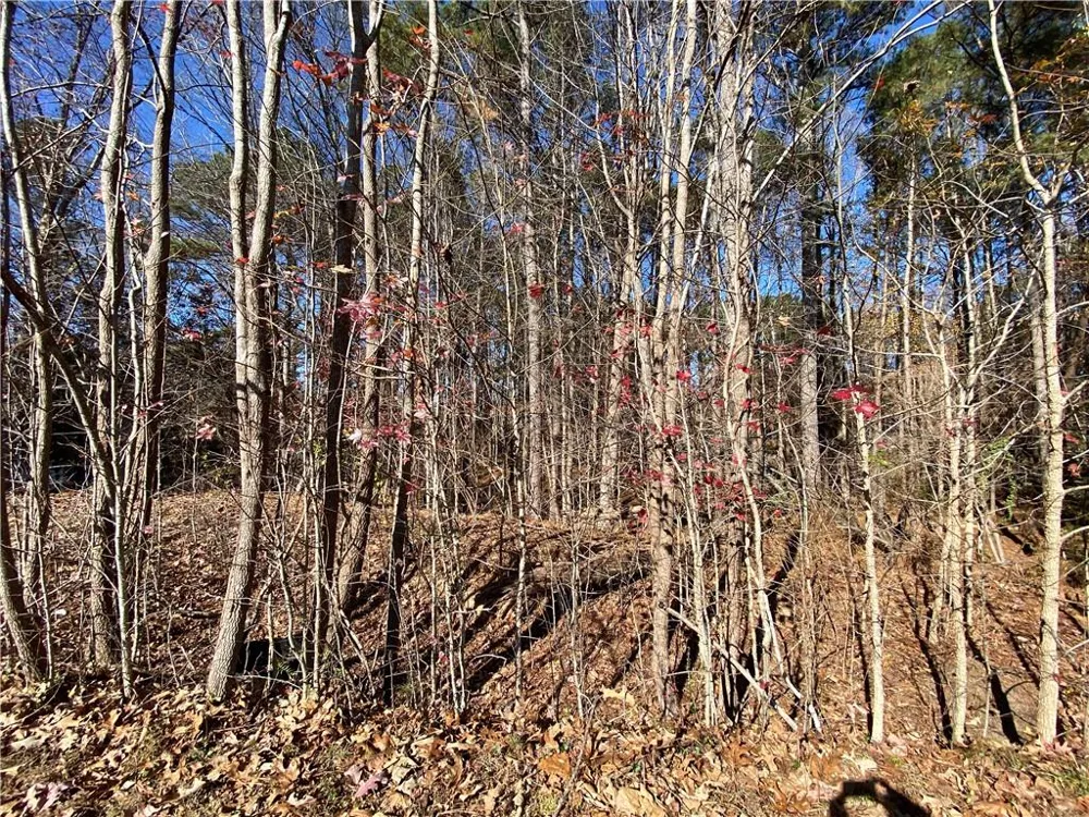 0 Black Oak Trail Woodstock, GA 30189