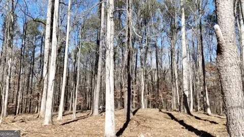 6155 (LOT #1) Little Ridge RD
