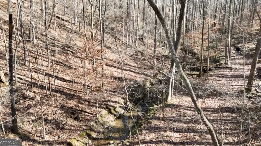 6137 Little Ridge RD Acworth, GA 30102