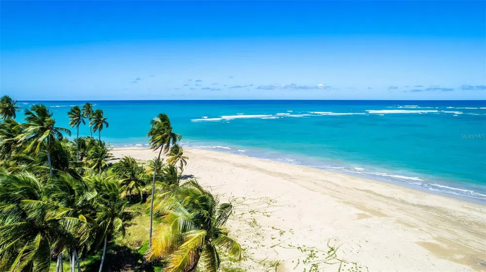 Atlantic Drive BEACHFRONT LOT ATLANTIC DRIVE AT THE FOUR SEASONS #Lot 12 Rio Grande, PR 00745