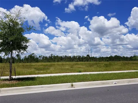 S APOPKA VINELAND ROAD