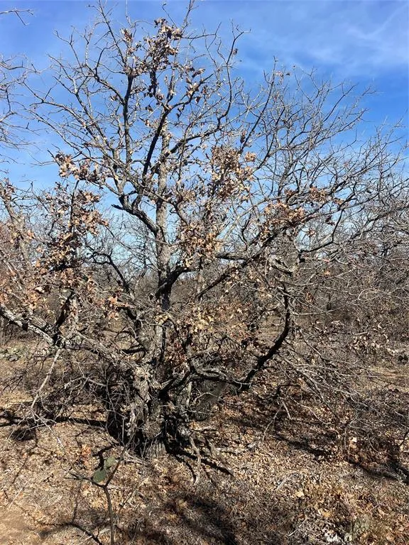 FM 600 Abilene, TX 79601