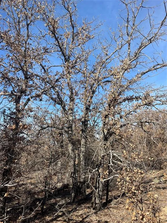 FM 600 Abilene, TX 79601