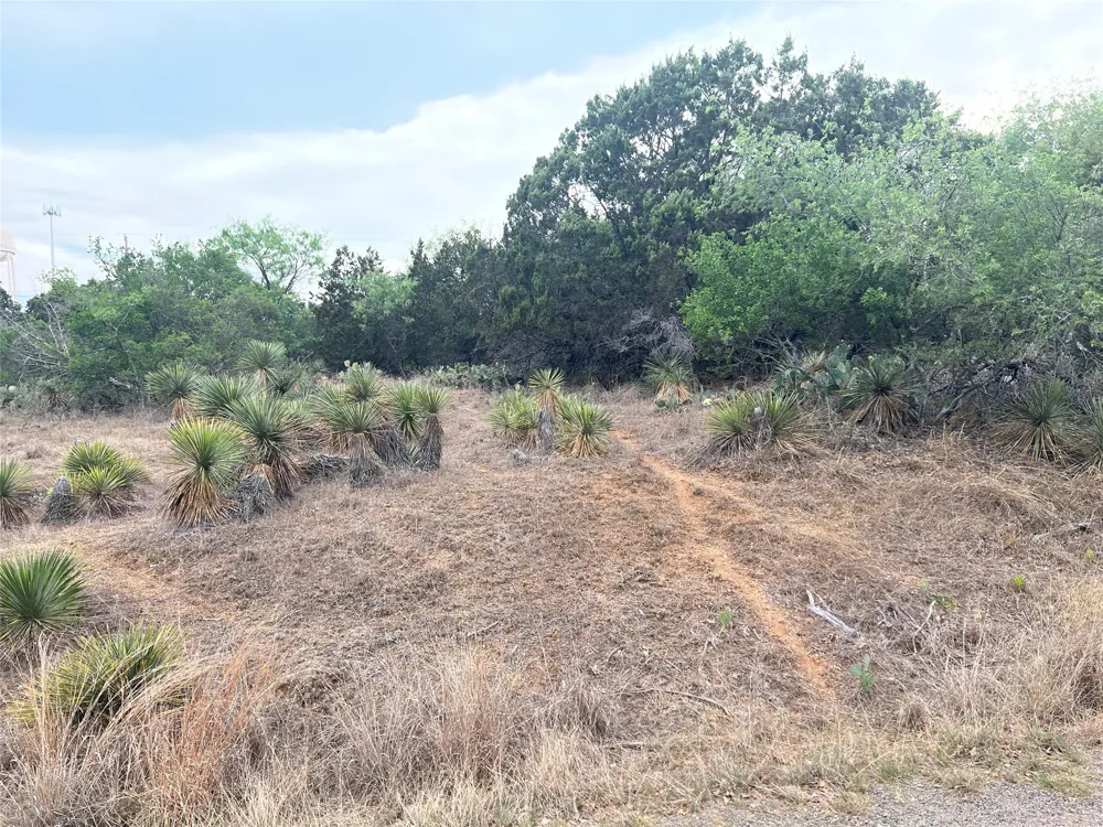 281 Briarway Drive Granite Shoals, TX 78654