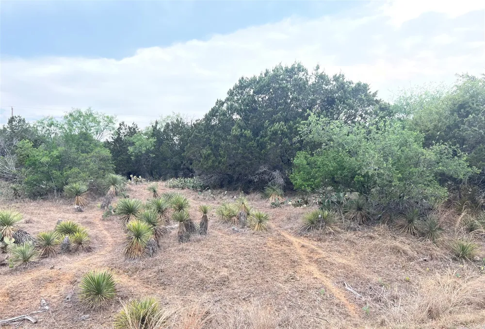 281 Briarway Drive Granite Shoals, TX 78654