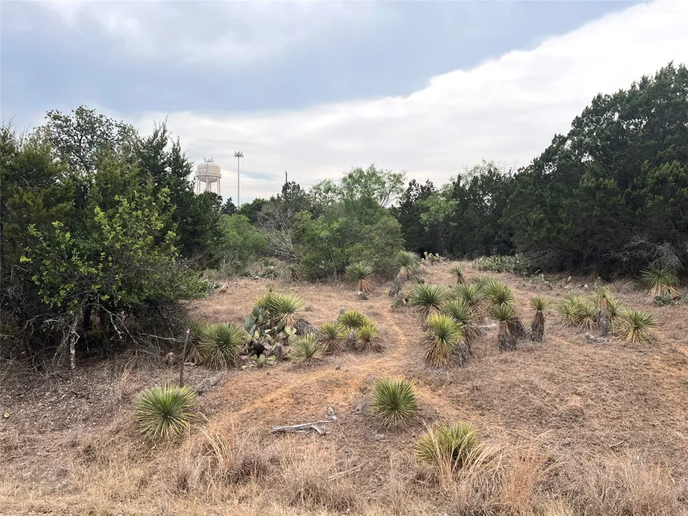 281 Briarway Drive Granite Shoals, TX 78654