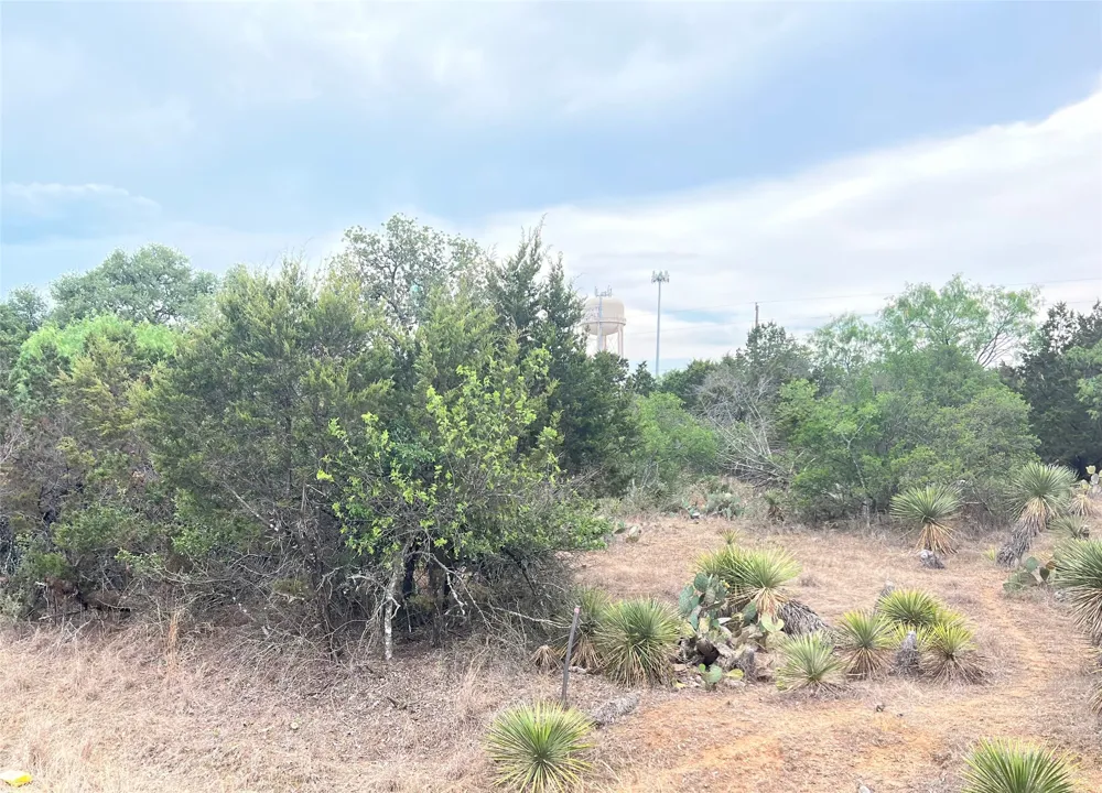 281 Briarway Drive Granite Shoals, TX 78654