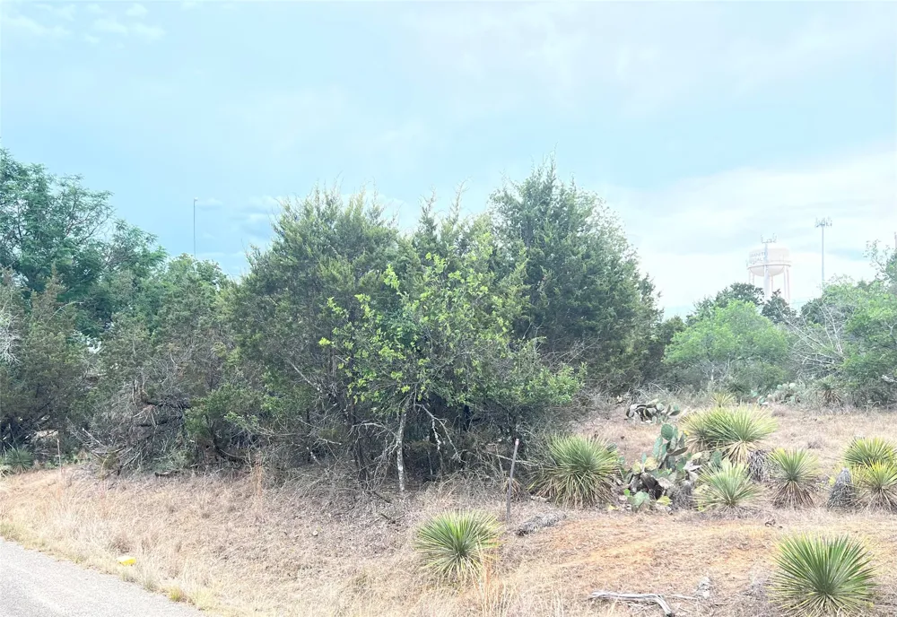 281 Briarway Drive Granite Shoals, TX 78654