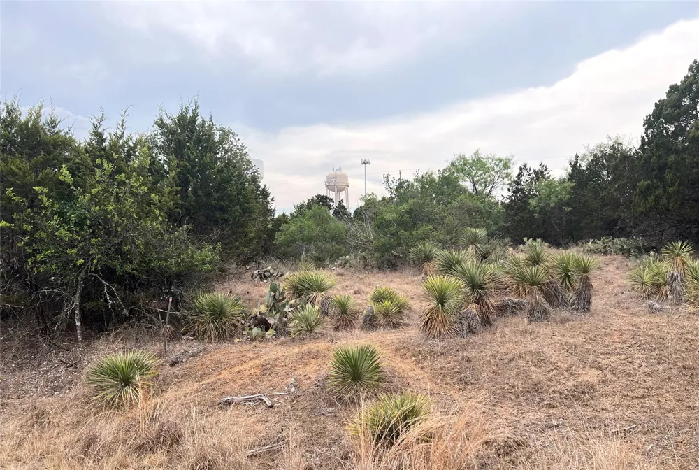 283 Briarway Drive Granite Shoals, TX 78654