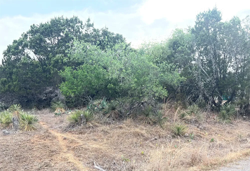 283 Briarway Drive Granite Shoals, TX 78654