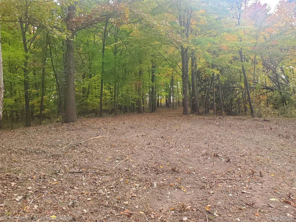 5700 Seven Mile Road Salem Township, MI 48178