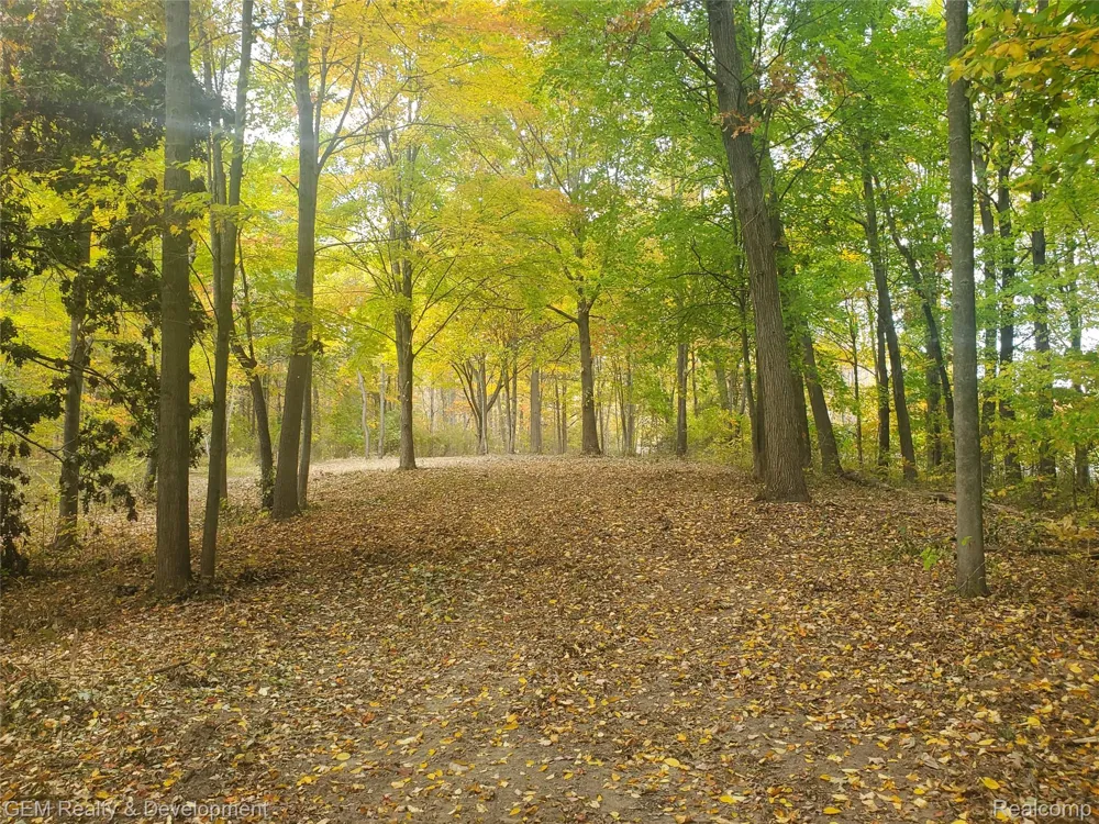 5700 Seven Mile Road Salem Township, MI 48178